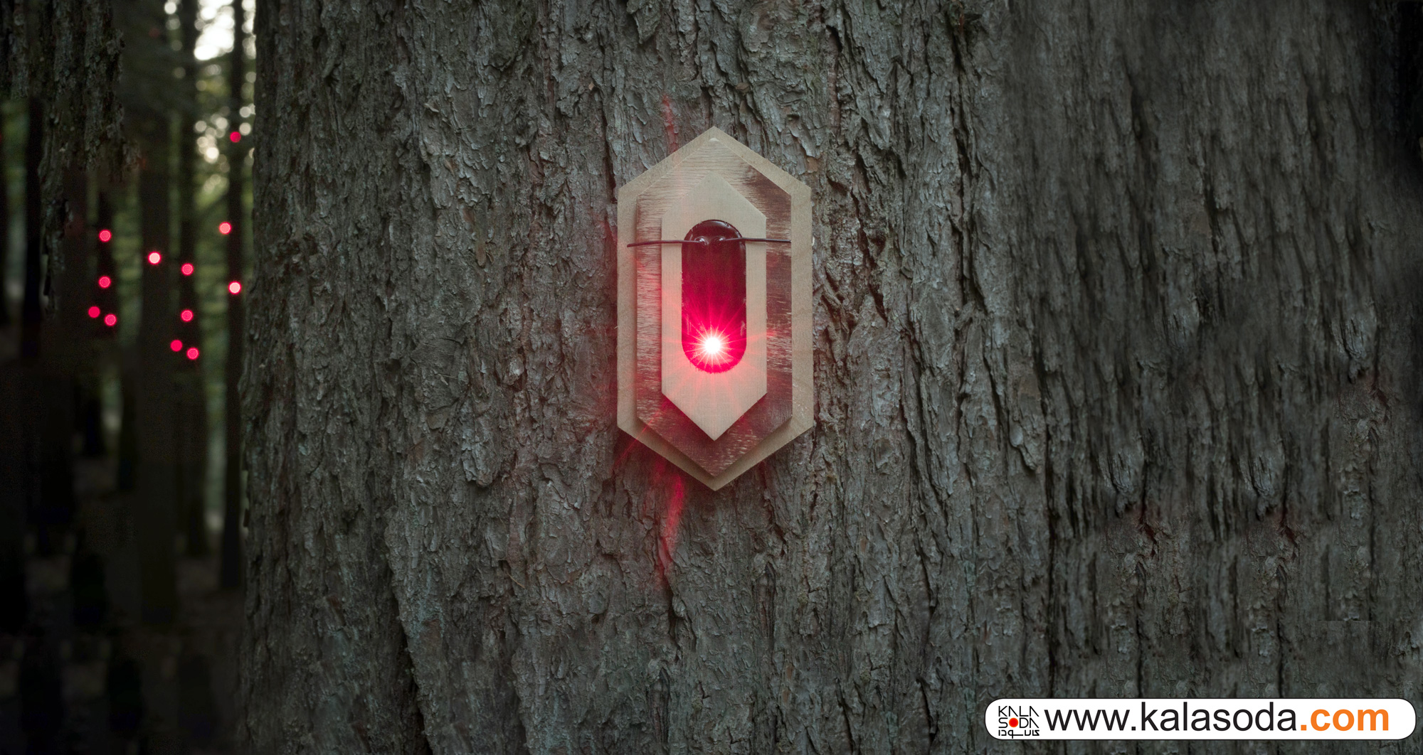 راز فناوری در جنگل!|کالاسودا