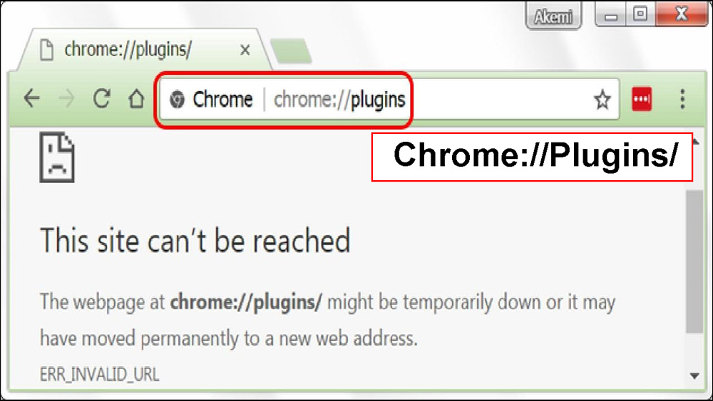 در قسمت آدرس بار، Chrome://Plugins/ را تایپ کنید