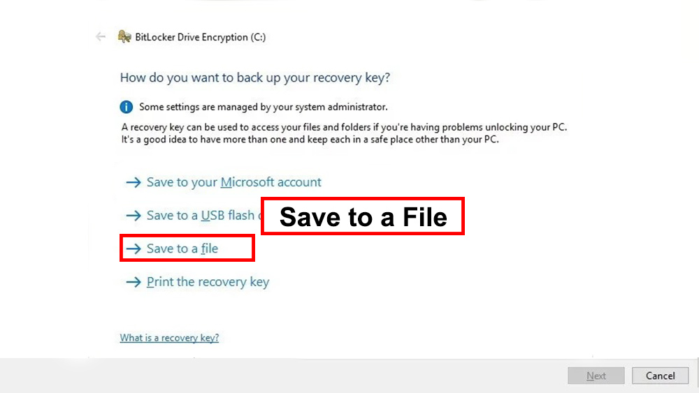 گزینه Save the recovery key to a file را بزنید.